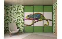 Шкаф-Купе SN2