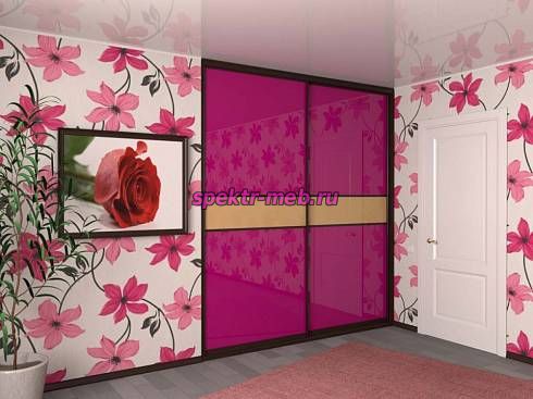 Шкаф-купе Вариант 124