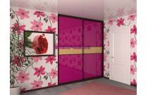 Шкаф-купе Вариант 124