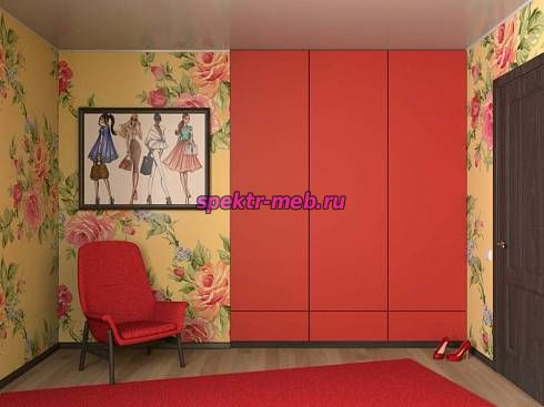 Распашной шкаф 32