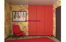 Распашной шкаф 32