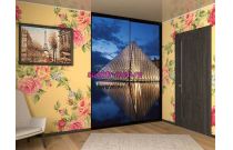 Шкаф-купе 3923