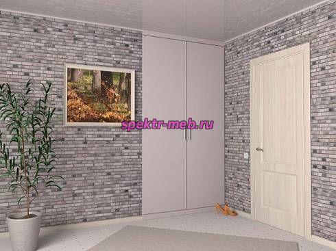 Распашной шкаф 1219