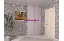 Распашной шкаф 1219