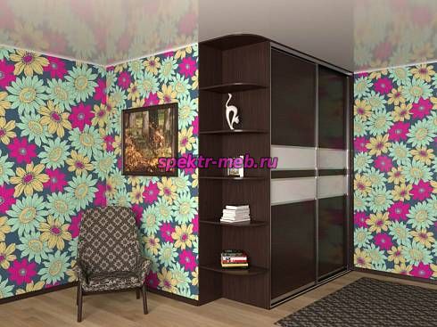 Шкаф-купе 3938