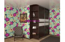 Шкаф-купе 3938