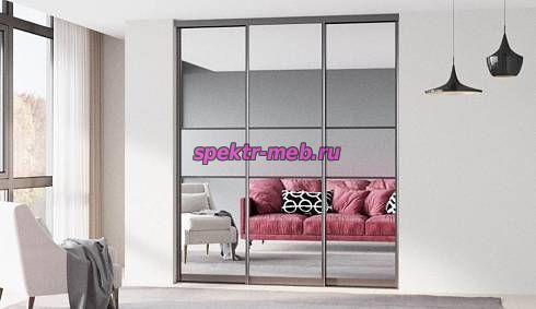 Шкаф-купе Молли 103