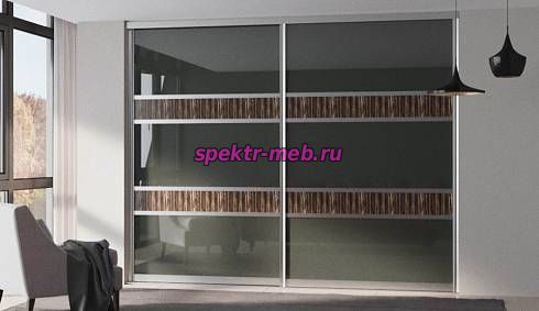 Шкаф-купе Молли 101