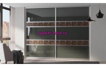 Шкаф-купе Молли 101