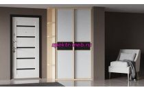 Шкаф-купе угловой №02