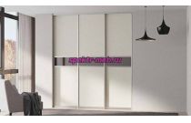 Шкаф-купе Z-66