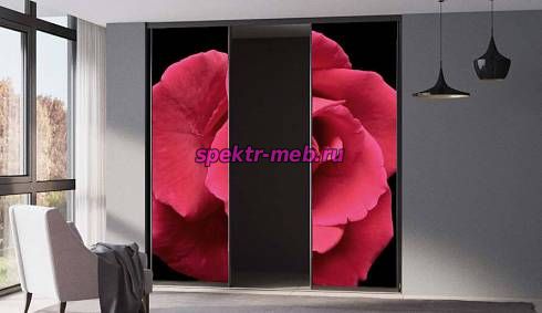 Шкаф-купе № 46