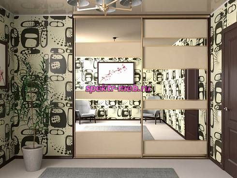 Шкаф-купе 23411