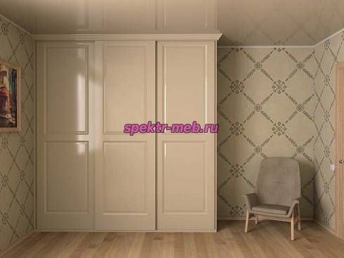 Шкаф-купе 31156