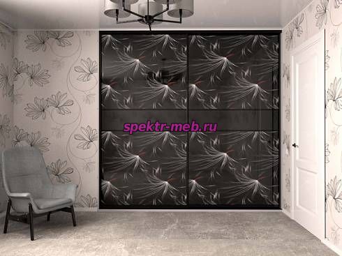 Шкаф-купе № 79