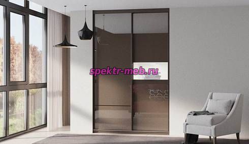 Шкаф-купе Молли 100