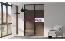 Шкаф-купе Молли 100