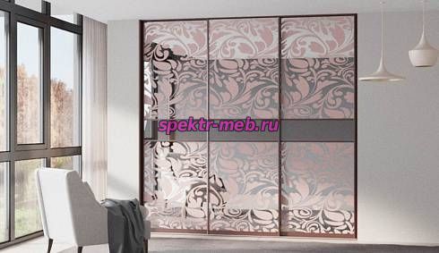 Шкаф-купе Сара 8