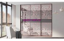 Шкаф-купе Сара 8