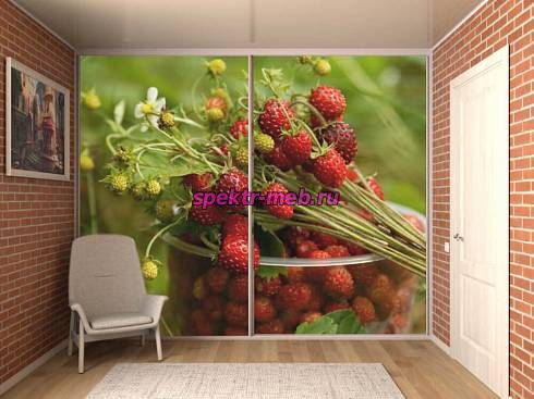 Шкаф-купе 31459