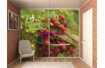 Шкаф-купе 31459