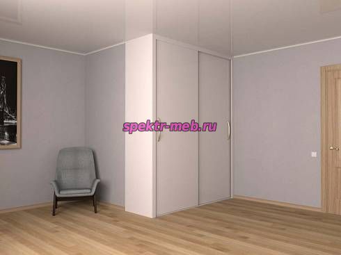 Шкаф-купе Холл 2
