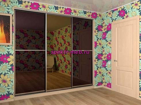 Шкаф-купе 3973