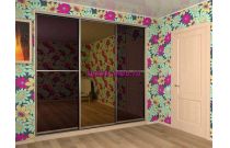 Шкаф-купе 3973