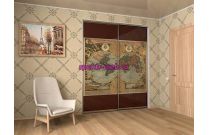 Шкаф-купе 9041