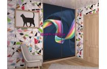 Шкаф-купе Степ