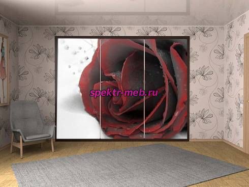 Шкаф-купе Модель 95