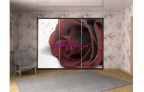 Шкаф-купе Модель 95