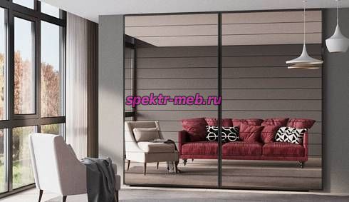 Шкаф-купе Синтия 107