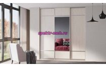 Шкаф-купе В-11