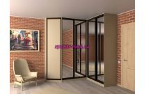 Угловой шкаф 63