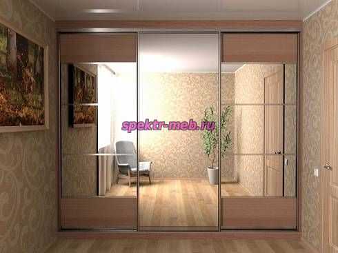 Шкаф-купе №219