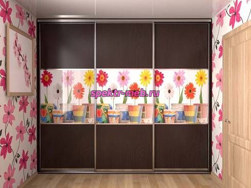 Шкаф-купе Флер