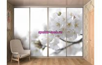 Шкаф-купе – 01140