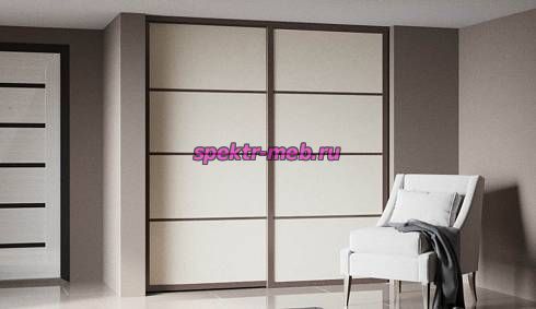 Шкаф-купе Сью