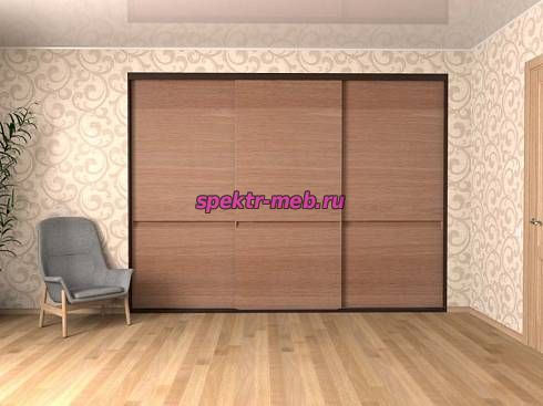 Шкаф-купе Модель 247