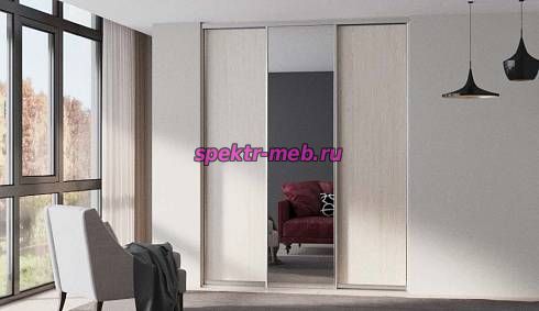 Шкаф-купе Z-67