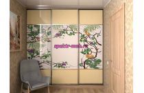 Шкаф-купе №187