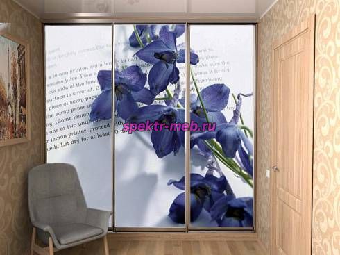 Шкаф-купе №55