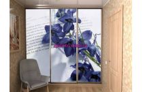 Шкаф-купе №55