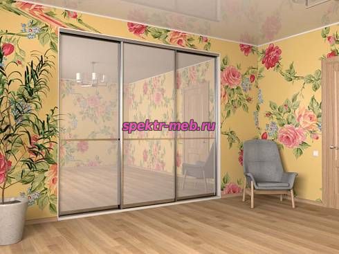 Шкаф-купе Пример 233