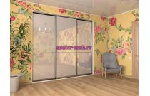 Шкаф-купе Пример 233