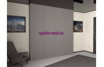 Распашной шкаф 4