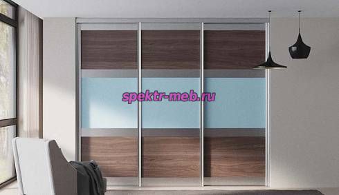 Шкаф-купе Тео 55