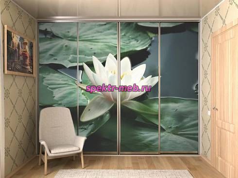 Шкаф-купе 01152