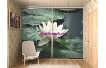 Шкаф-купе 01152